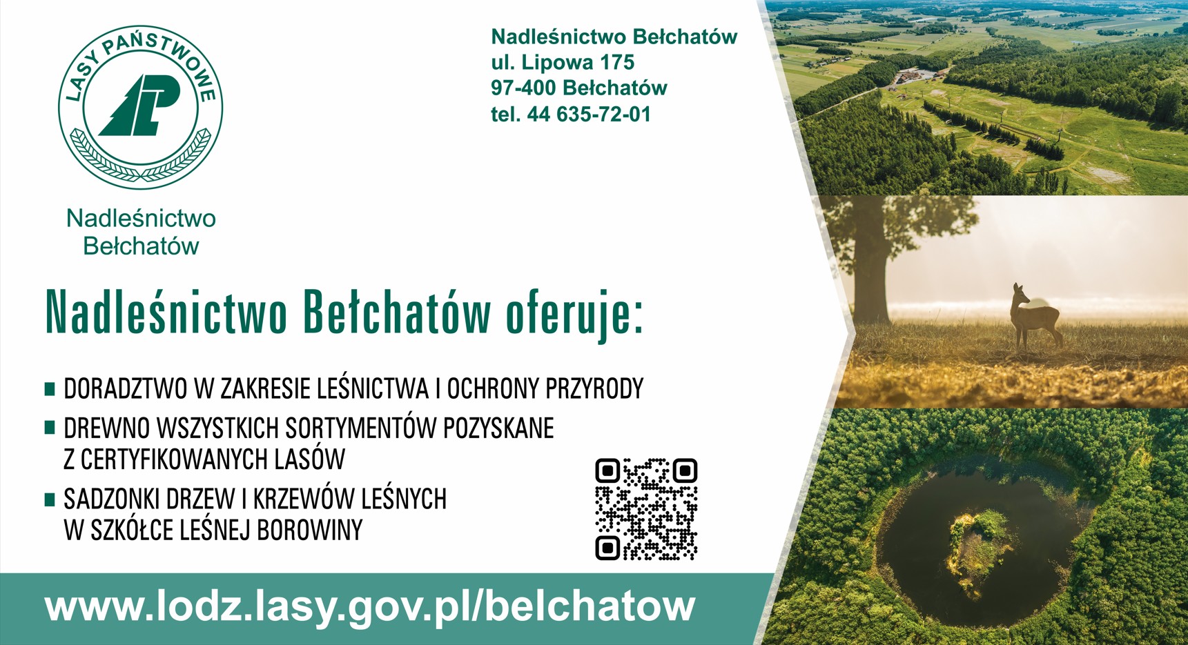 lasy państwowe BEŁCHATÓW 